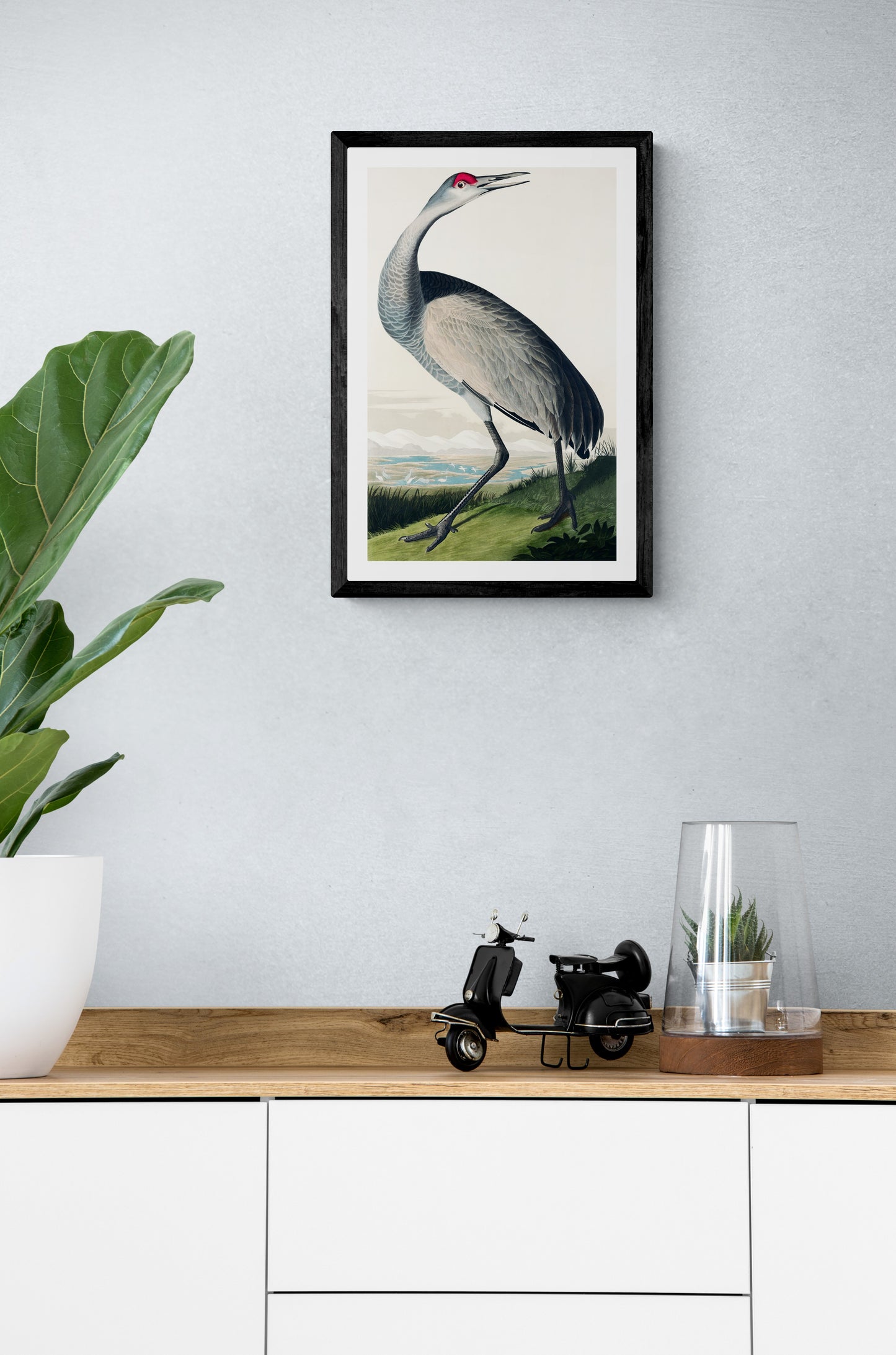 Vintage naturalistic bird illustrations: Hooping Crane. Prints on art paper, canvas, and framed canvas. Free shipping in the USA. SKUJJA071