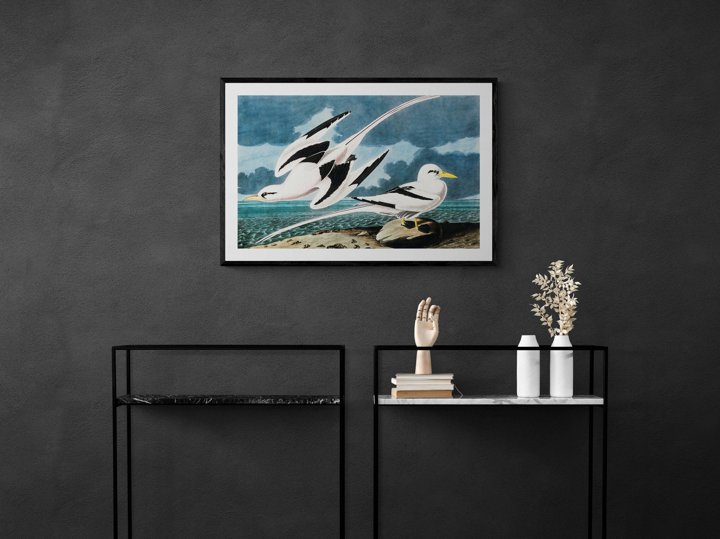 Vintage naturalistic bird illustrations: Tropic Bird. Prints on art paper, canvas, and framed canvas. Free shipping in the USA. SKUJJA120