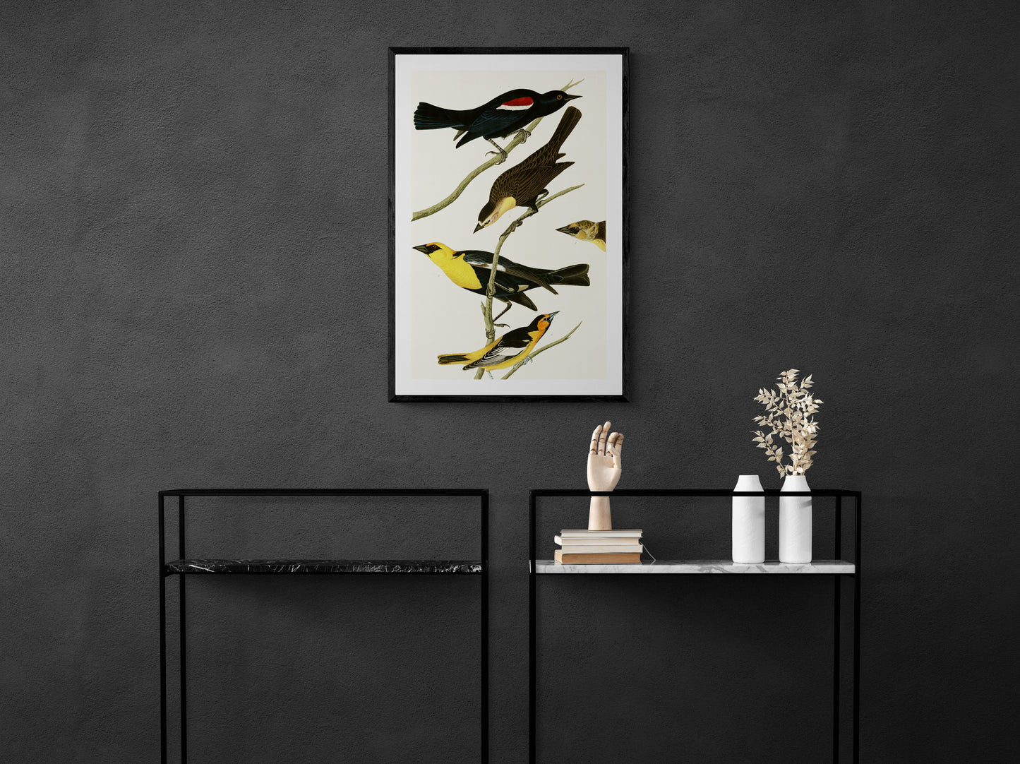Vintage naturalistic bird illustrations: Nuttall's Starling, Yellow-headed Troopial and Bullock's Oriole. Prints on art paper, canvas, and framed canvas. Free shipping in the USA. SKUJJA091