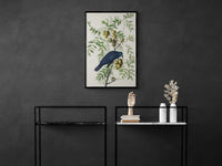 Vintage naturalistic bird illustrations: American Crow. Prints on art paper, canvas, and framed canvas. Free shipping in the USA. SKUJJA003