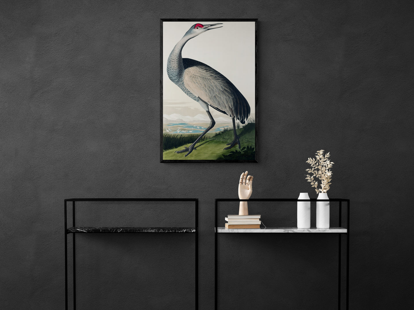 Vintage naturalistic bird illustrations: Hooping Crane. Prints on art paper, canvas, and framed canvas. Free shipping in the USA. SKUJJA071