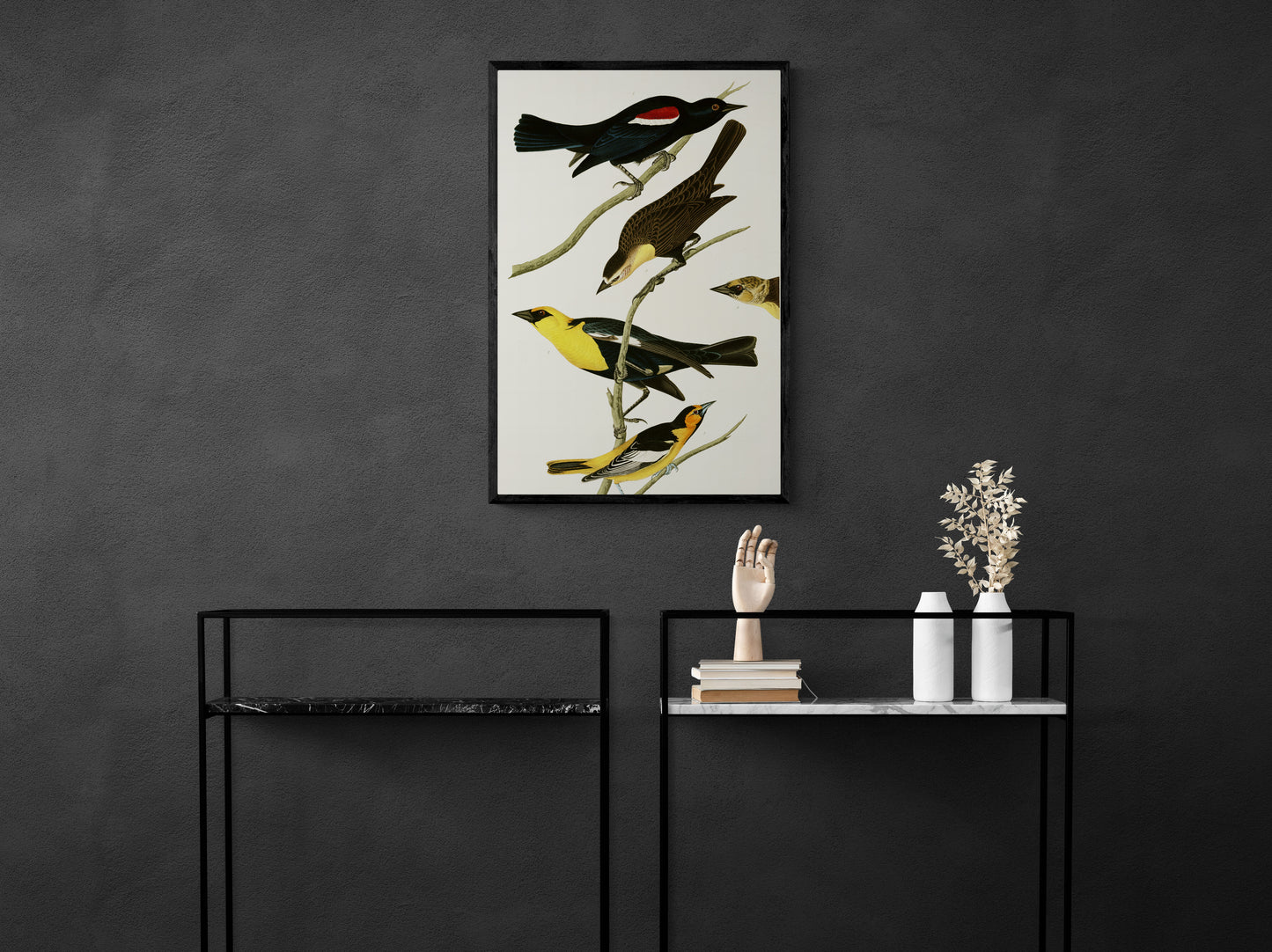 Vintage naturalistic bird illustrations: Nuttall's Starling, Yellow-headed Troopial and Bullock's Oriole. Prints on art paper, canvas, and framed canvas. Free shipping in the USA. SKUJJA091