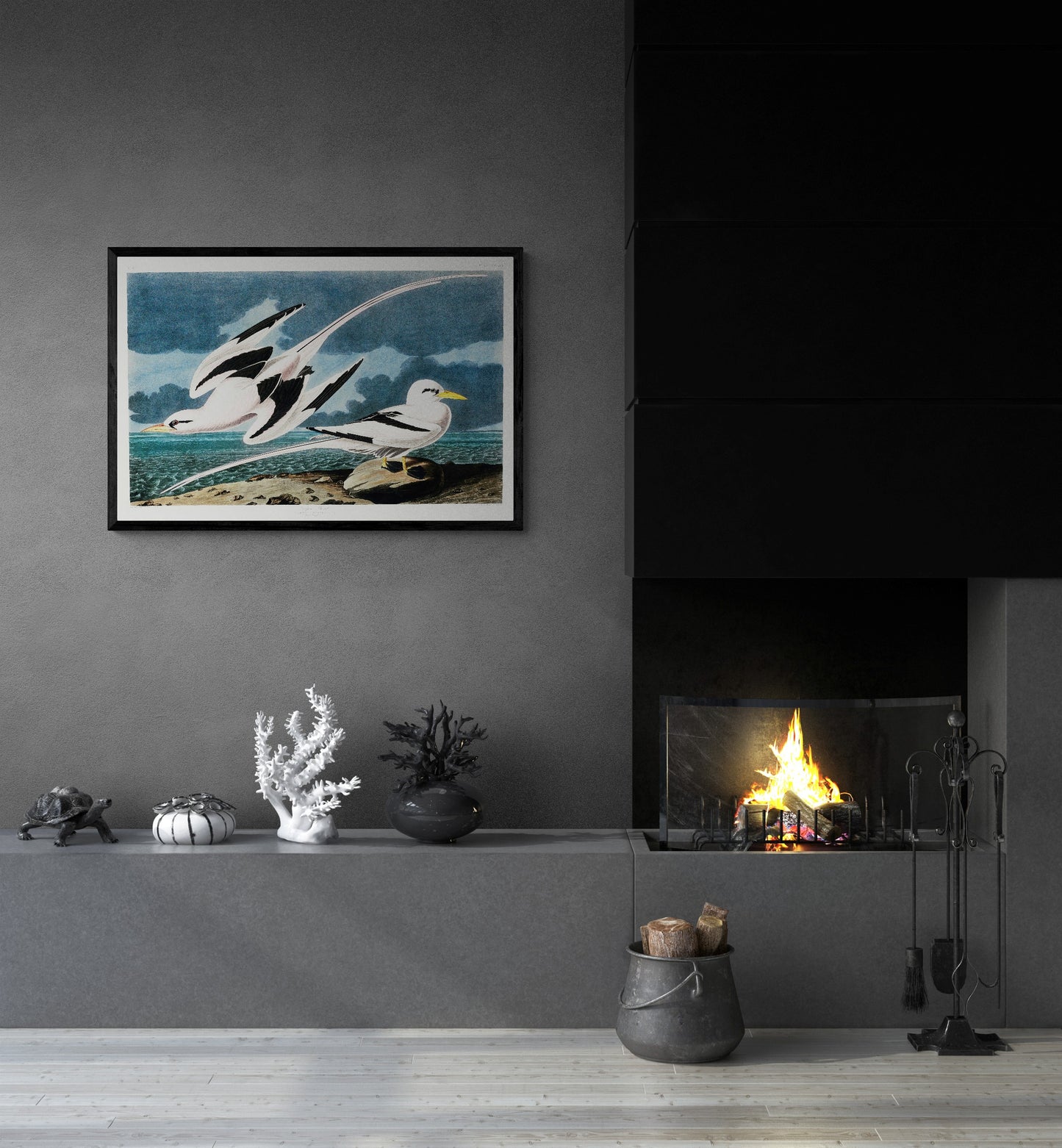 Vintage naturalistic bird illustrations: Tropic Bird. Prints on art paper, canvas, and framed canvas. Free shipping in the USA. SKUJJA120