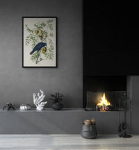 Vintage naturalistic bird illustrations: American Crow. Prints on art paper, canvas, and framed canvas. Free shipping in the USA. SKUJJA003