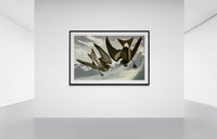 Vintage naturalistic bird illustrations: Fork-tailed Petrel. Prints on art paper, canvas, and framed canvas. Free shipping in the USA. SKUJJA051