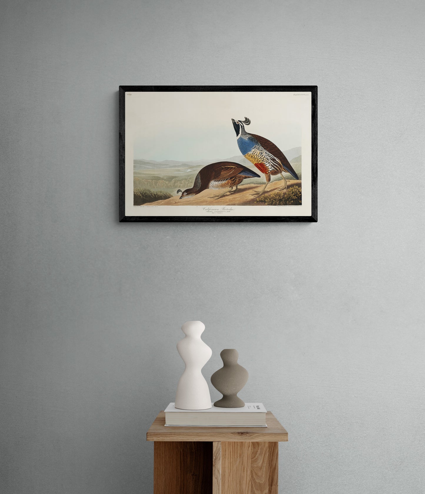 Vintage naturalistic bird illustrations: California Partridge. Prints on art paper, canvas, and framed canvas. Free shipping in the USA. SKUJJA032