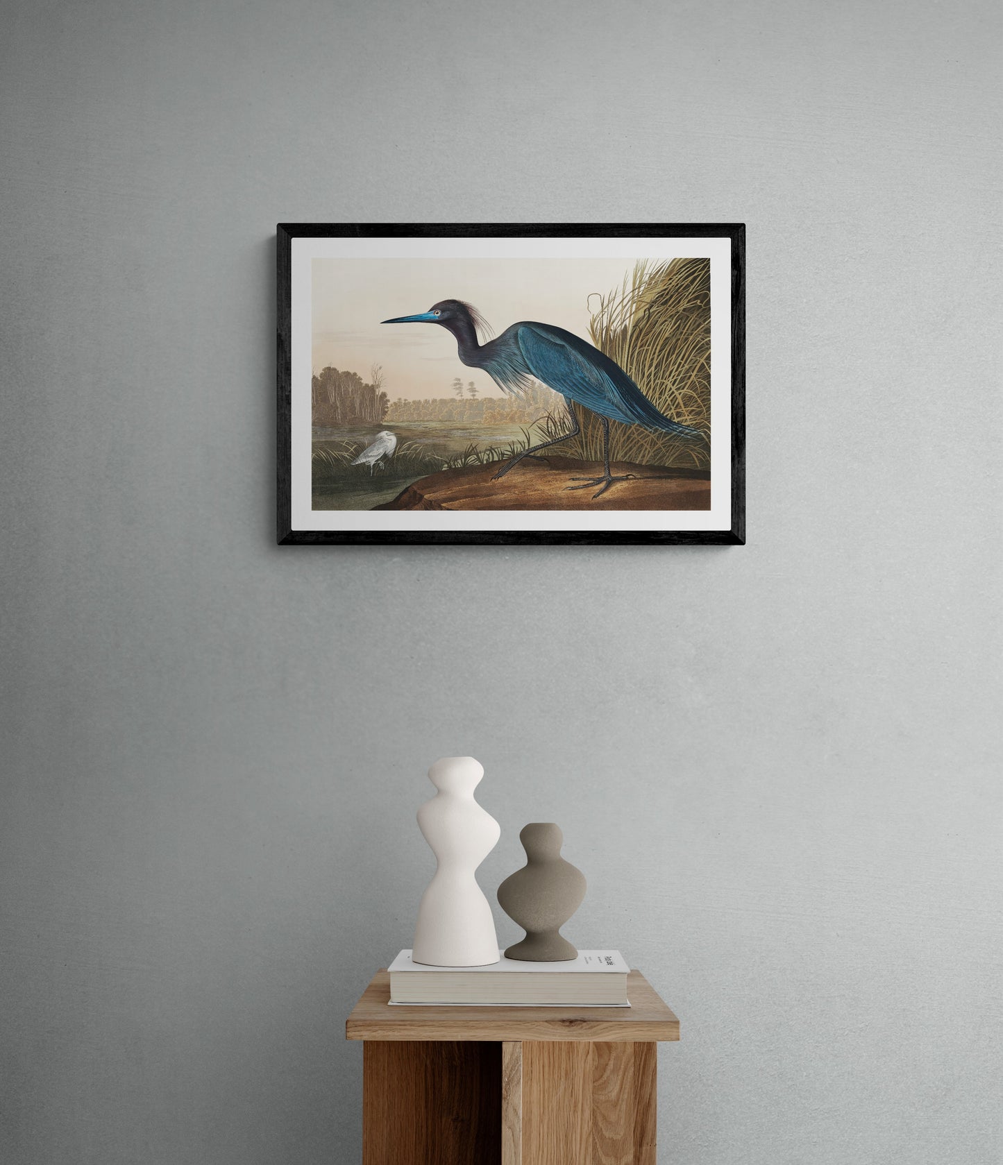 Vintage naturalistic bird illustrations: Blue Crane or Heron. Prints on art paper, canvas, and framed canvas. Free shipping in the USA. SKUJJA022