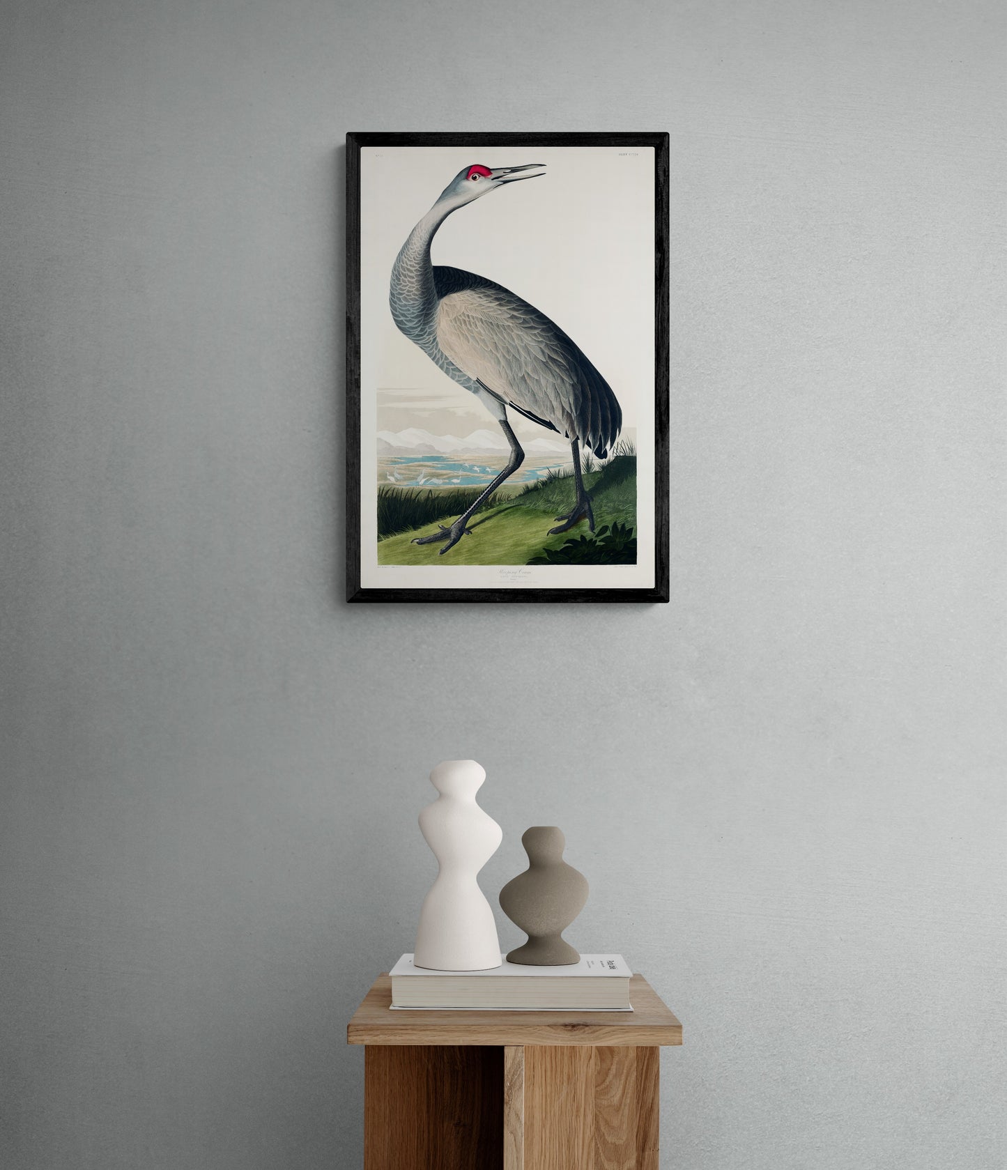 Vintage naturalistic bird illustrations: Hooping Crane. Prints on art paper, canvas, and framed canvas. Free shipping in the USA. SKUJJA071