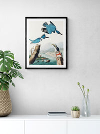 Vintage naturalistic bird illustrations: Belted Kingfisher. Prints on art paper, canvas, and framed canvas. Free shipping in the USA. SKUJJA016