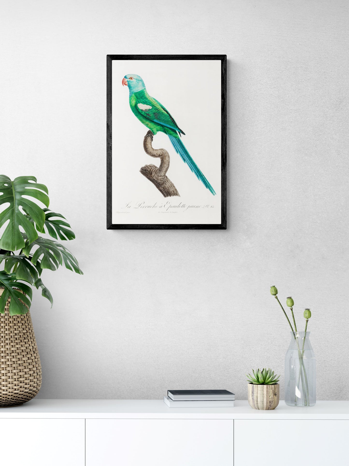 Vintage naturalistic The Yellow-Shouldered Amazon, Amazona barbadensis illustrations. Prints on art paper, canvas and framed canvas. Free shipping in the USA.