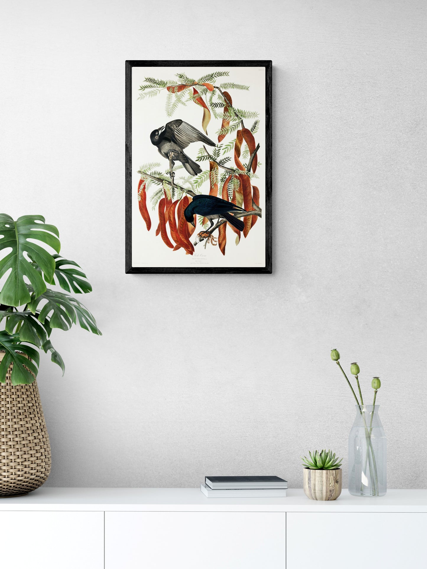 Vintage naturalistic bird illustrations: Fish Crow. Prints on art paper, canvas, and framed canvas. Free shipping in the USA. SKUJJA046