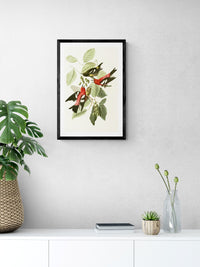 Vintage naturalistic bird illustrations: White-winged Crossbill. Prints on art paper, canvas, and framed canvas. Free shipping in the USA. SKUJJA131