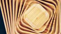 Bamboo Square Plate 10" inch X 10" inch | For Appetizers / Barbecue-4
